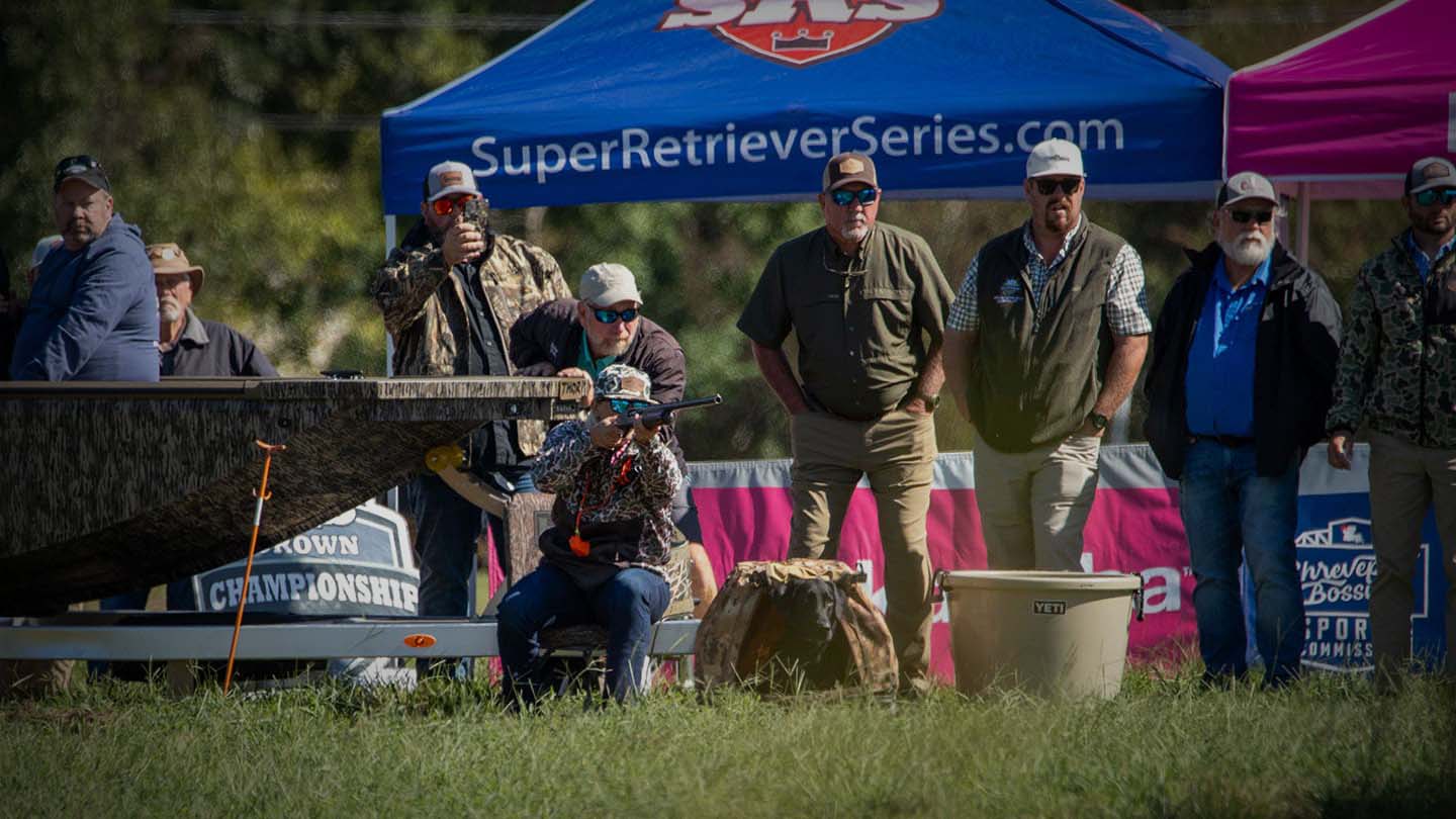 Super Retriever Series The best sporting dogs on this